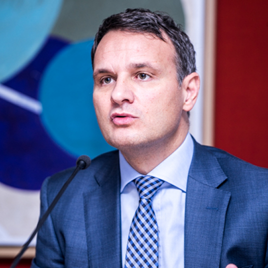 Stéphane SALINI
